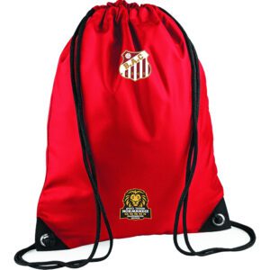 SAC CORDON POLYESTER BG100 AC BEUZEVILLE