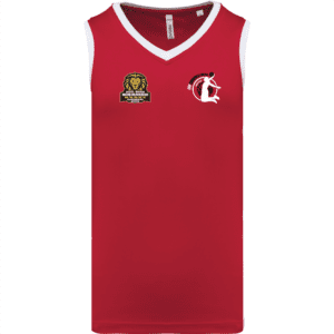 MAILLOT POLYESTER HOMME PA4050 ESMGO BASKET BALL