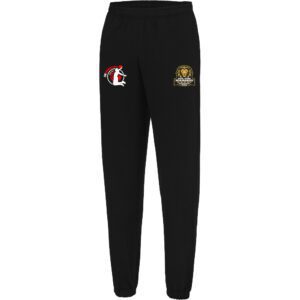 PANTALON SURVÊTEMENT COTON HOMME JH072 ESMGO BASKET BALL