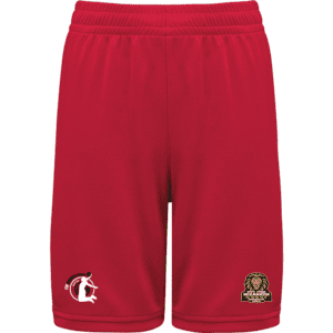 SHORT POLYESTER HOMME PA1050 ESMGO BASKET BALL