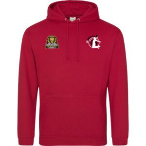 SWEAT CAPUCHE COTON HOMME JH001 ESMGO BASKET BALL