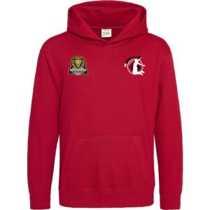 SWEAT CAPUCHE COTON KID'S JH01J ESMGO BASKET BALL